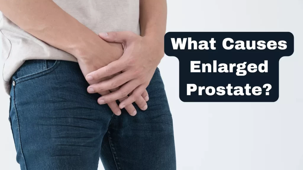 What Causes Enlarged Prostate?