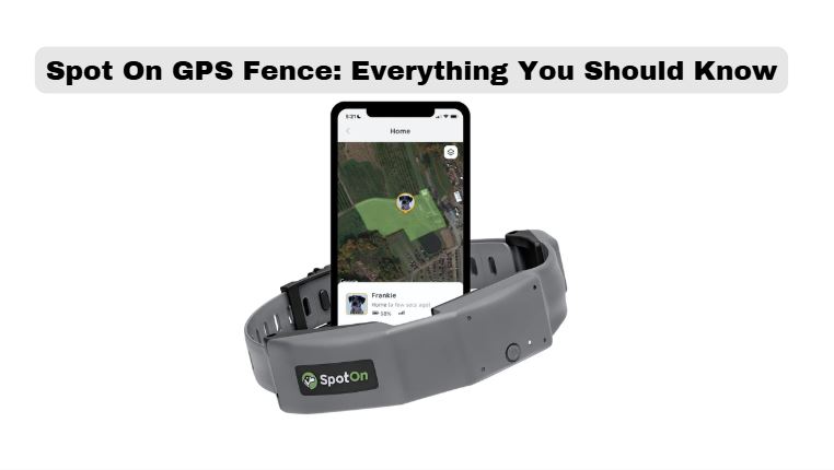 Spot On GPS Fence: Everything You Should Know