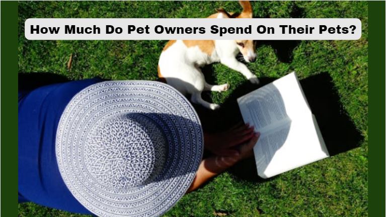 How Much Do Pet Owners Spend On Their Pets?