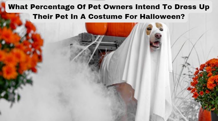 What Percentage Of Pet Owners Intend To Dress Up Their Pet In A Costume For Halloween?